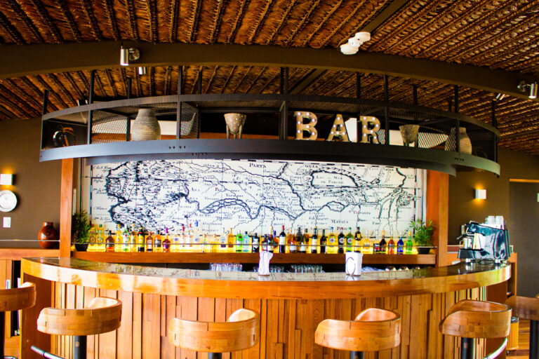 Amazon cruise Bar
